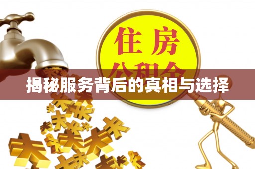 苍梧揭秘服务背后的真相与选择