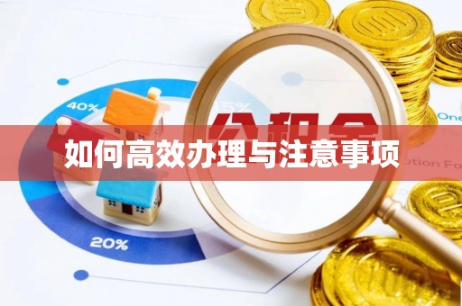 苍梧如何高效办理与注意事项