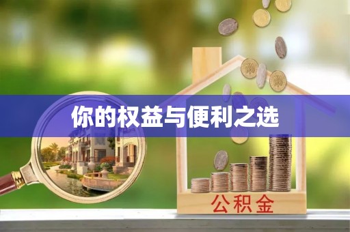 苍梧你的权益与便利之选