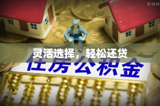 苍梧灵活选择，轻松还贷