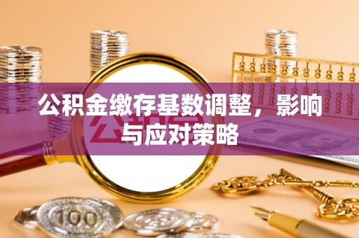 苍梧公积金缴存基数调整，影响与应对策略