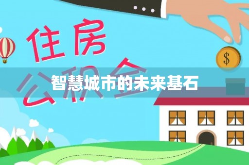 苍梧智慧城市的未来基石
