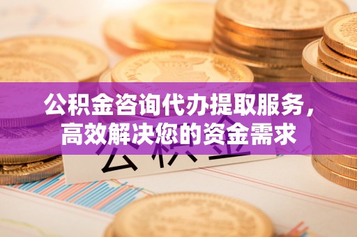 苍梧公积金咨询代办提取服务，高效解决您的资金需求
