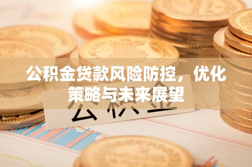 苍梧公积金贷款风险防控，优化策略与未来展望