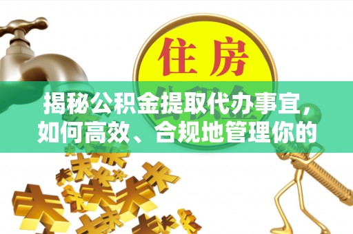 苍梧揭秘公积金提取代办事宜，如何高效、合规地管理你的财务未来