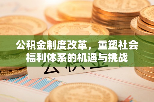 苍梧公积金制度改革，重塑社会福利体系的机遇与挑战