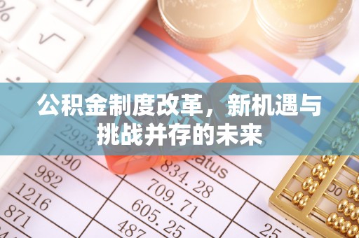 苍梧公积金制度改革，新机遇与挑战并存的未来