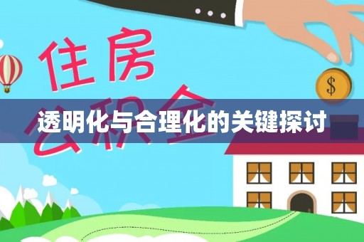 苍梧透明化与合理化的关键探讨