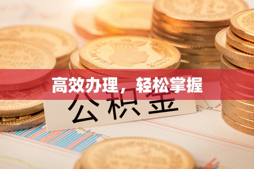苍梧高效办理，轻松掌握
