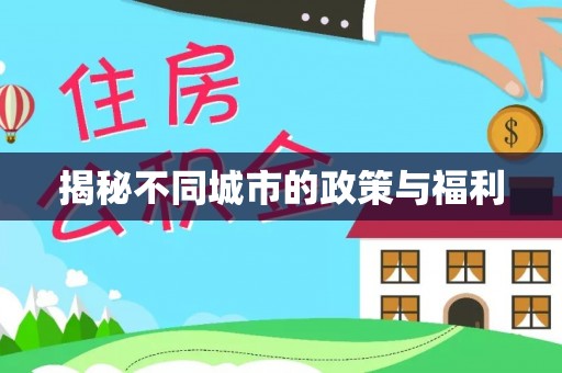 苍梧揭秘不同城市的政策与福利