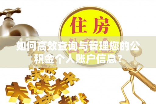 苍梧如何高效查询与管理您的公积金个人账户信息？