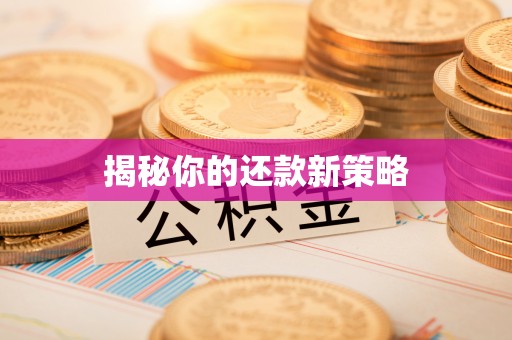 苍梧揭秘你的还款新策略
