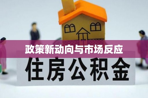 苍梧政策新动向与市场反应