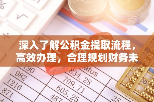 苍梧深入了解公积金提取流程，高效办理，合理规划财务未来