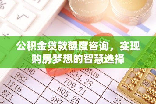苍梧公积金贷款额度咨询，实现购房梦想的智慧选择