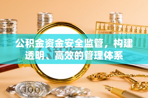 苍梧公积金资金安全监管，构建透明、高效的管理体系