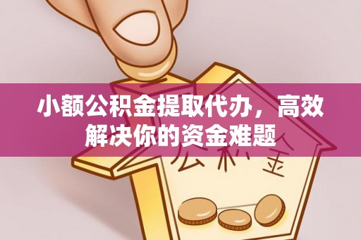 苍梧小额公积金提取代办，高效解决你的资金难题