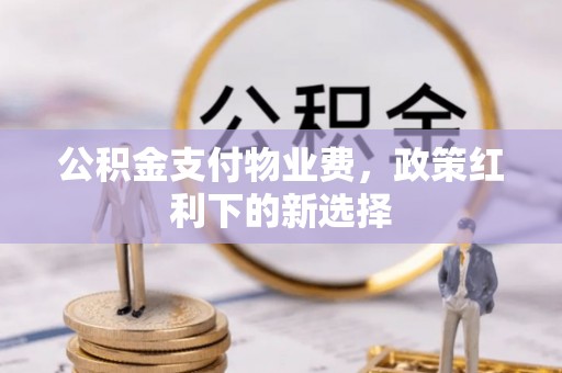 苍梧公积金支付物业费，政策红利下的新选择