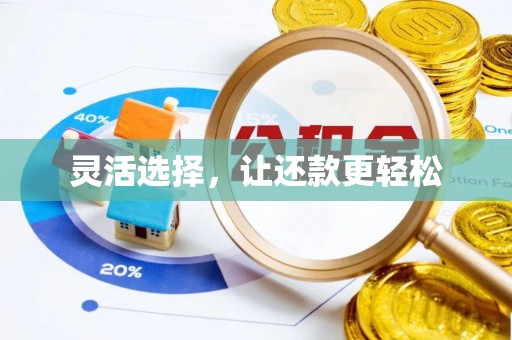 苍梧灵活选择，让还款更轻松