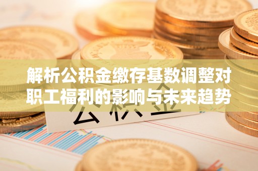 苍梧解析公积金缴存基数调整对职工福利的影响与未来趋势