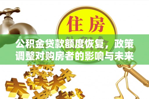 苍梧公积金贷款额度恢复，政策调整对购房者的影响与未来展望