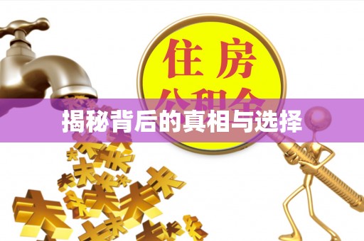 苍梧揭秘背后的真相与选择