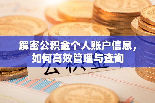 苍梧解密公积金个人账户信息，如何高效管理与查询