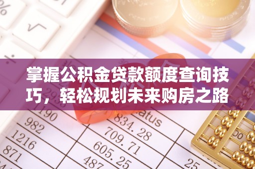 苍梧掌握公积金贷款额度查询技巧，轻松规划未来购房之路