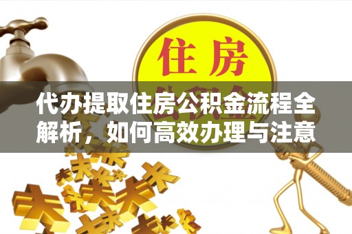 苍梧代办提取住房公积金流程全解析，如何高效办理与注意事项