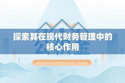 苍梧探索其在现代财务管理中的核心作用