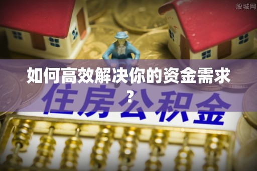 苍梧如何高效解决你的资金需求？