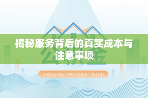 苍梧揭秘服务背后的真实成本与注意事项