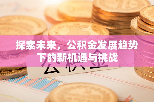 苍梧探索未来，公积金发展趋势下的新机遇与挑战
