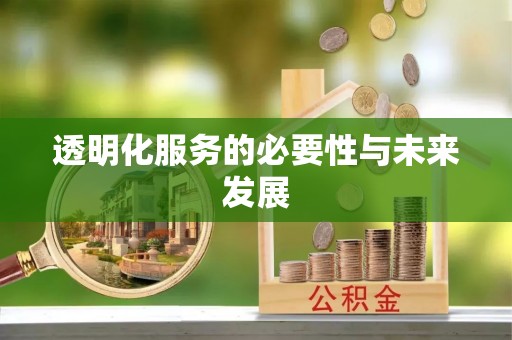 苍梧透明化服务的必要性与未来发展
