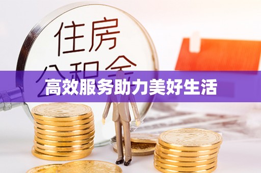 苍梧高效服务助力美好生活
