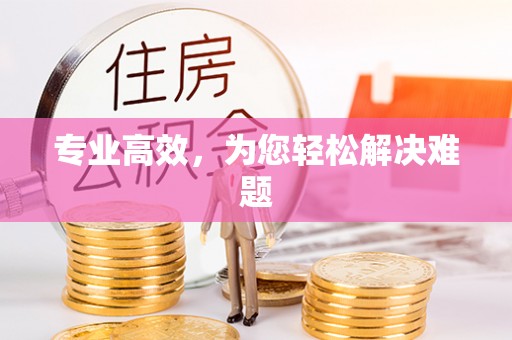苍梧专业高效，为您轻松解决难题
