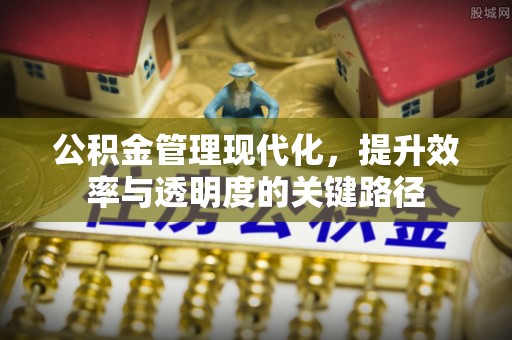 苍梧公积金管理现代化，提升效率与透明度的关键路径