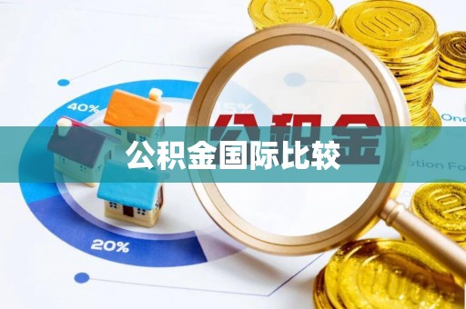 苍梧公积金国际比较