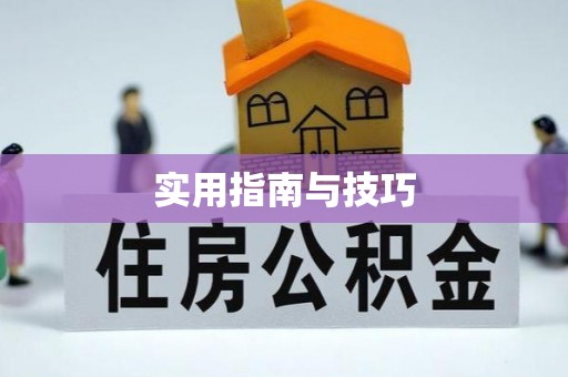 苍梧实用指南与技巧