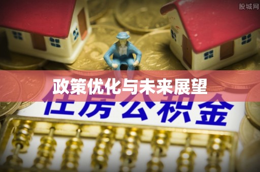苍梧政策优化与未来展望