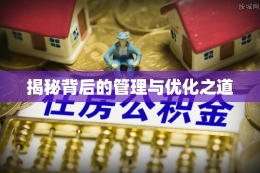 苍梧揭秘背后的管理与优化之道