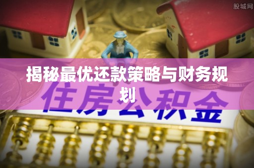 苍梧揭秘最优还款策略与财务规划