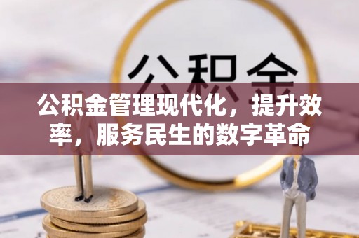 苍梧公积金管理现代化，提升效率，服务民生的数字革命