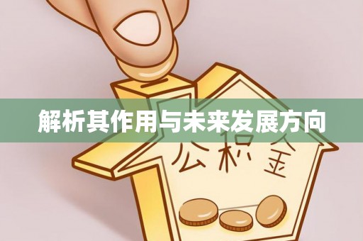 苍梧解析其作用与未来发展方向