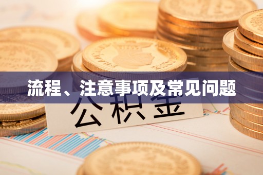苍梧流程、注意事项及常见问题
