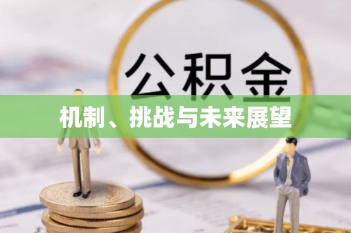 苍梧机制、挑战与未来展望