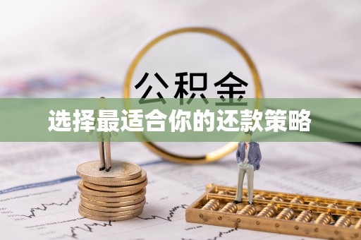 苍梧选择最适合你的还款策略