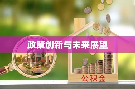 苍梧政策创新与未来展望