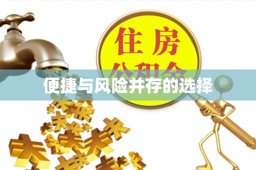 苍梧便捷与风险并存的选择