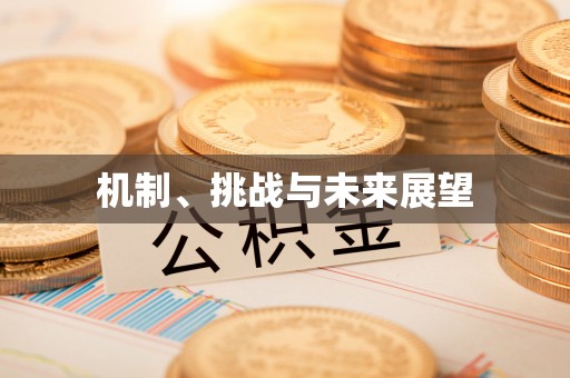 苍梧机制、挑战与未来展望